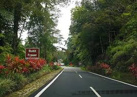 Jalan high pines, bukit fraser 49000, malaysia. A Short Stop For Paddock And Archery Fraser S Hill Pahang Part 1 Steemit