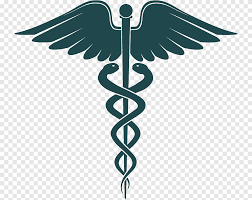 Pngtree offers health logo png and vector images, as well as transparant background health logo clipart images and psd files. Cadeuceus Logo Health Care Medicine Health Insurance Portability And Accountability Act Management Angel Icon Service Camera Icon Png Pngegg