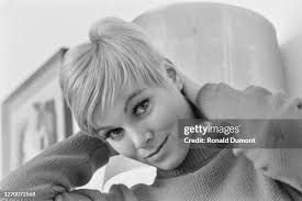 18 Susan Dumont Stock Photos, High-Res Pictures, and Images