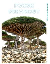 Pokok tropika terpanjang kedua di dunia ditemui di sabah, malaysia. Jun 2010 Wannura Halaman 25