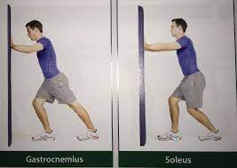Calf Muscle Tightness Achilles Tendon Length And Lower Leg Injury Mountain Peak Fitness Achillespees Beweging