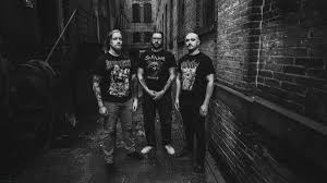 Image result for Dissotis peregrina