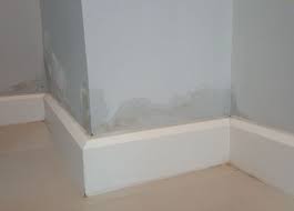Best Ways To Tackle Damp And Mould | Damp And Mould Solutions