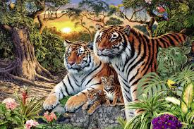 5.0 из 5 звездоч., исходя из 2 оценки(ок) товара(2). Ravensburger Hidden Tiger Jigsaw Puzzle 3000 Pieces All Ages 170722 Buy Online At Best Price In Uae Amazon Ae