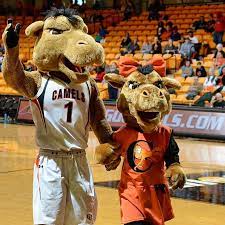 Campbell university is a coeducational private university in the us state of north carolina its main campus is located in the community of buies creek its. Gladys The Camel Returns To Campus With A New Look News Campbell University