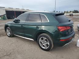 Image result for Azorean Green 2018 Q5