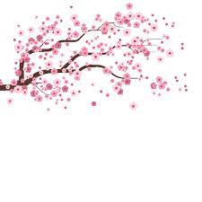 Sakura leaves falling gif transparent / pin on kawaii : Transparent Background Cherry Blossom Gif