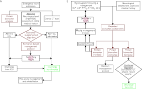 Traumatic Brain Injury Section 1 Traumatic Brain And