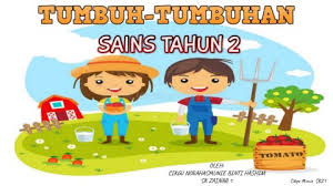 Foto tumbuhan benalu dan inangnya keterangan gambar : Nota Tumbuh Tumbuhan