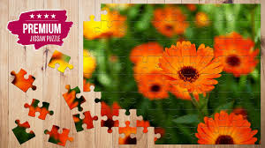 Free jigsaw puzzles for adults features: Jigsaw Puzzles 1000 Piece Puzzles For Adults For Android Apk Download
