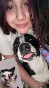 This baby boy got to my house this afternoon he is very sweet if you lost  him send me a message!!