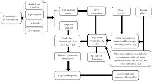 Maribel verdú, gael garcía bernal, daniel giménez cacho, ana lópez mercado. Bg Shift Of Seed Mass And Fruit Type Spectra Along Longitudinal Gradient High Water Availability And Growth Allometry