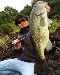 本 栖湖 バス 釣り