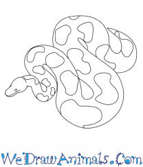 Two step by step tutorials in one post. How To Draw A Python