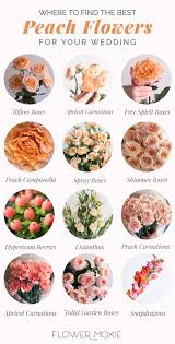Peach Wedding Flowers Diy Bulk Fresh Flowers In 2020 Peach Wedding Flowers Peach Flowers Peach Wedding