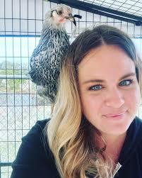 Introduction to backyard chicken keeping