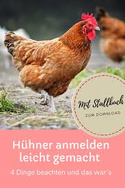 Geflugel Anmeldung Dokumentation Leicht Gemacht Huhnerhaltung Im Garten Zwergseidenhuhner Geflugel