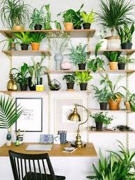 Some people are shy about implementing this color as different shades of green seem to go in and out of style. Small Indoor Garden Ideas Domino Indoor Garden Apartment Room With Plants Decor