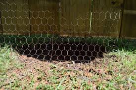 Dog holes under the fence are a security threat since thieves, and dangerous animals can use them to gain a way in. Dig Defence Xl Model 15 Pack 24 In X 15 In Barrier And Dig Protection In The Barriers Dig Protection Department At Lowes Com