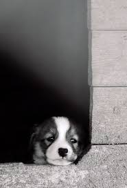 You can see how to get to demorest family medicine on our website. Ata Family Pest Solutions Atafamilypest Profile Pinterest