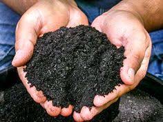 Comment Fabriquer Un Humus Super Nutritif Pour Le Jardin Astuces De Grand Mere Jardins Engrais Bio Jardin De Legumes