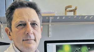 Pedro Arcos González: "El cambio climático hará que el mosquito del zika  llegue a España en 5 años"