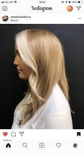 Platinum Highlights And Honey Blonde Dual Hair Tone Coolladies Net Aesthetic Hair Hair Streaks Multicolored Hair
