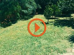 Explore other popular home services near you from over 7 million businesses with over 142 million reviews and opinions from yelpers. Cheap Grass Cutting Services Bundoora Lawn Mowing Quotes Near Me In Bundoora 3083