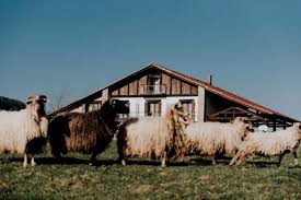 Es una casa rural ideal para familias con niños. 25 Casas Rurales Con Granja Para Ir Con Ninos