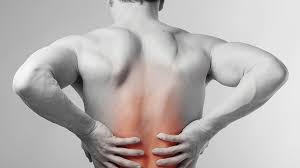 Start studying músculos de la espalda. 8 Ejercicios Para Aliviar Y Prevenir Dolores De Espalda