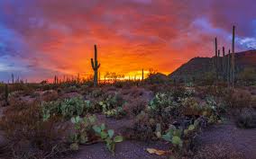 Sunset Beautiful Landscape Pima County County In Arizona Usa 4k Ultra Hd Sunset Wallpapers Background Images Wallpapers13 Com Ultra hd sunset s 4k with a maximum resolution of 3840x2160 and related wallpapers or sunset or ultra wallpapers. sunset beautiful landscape pima county