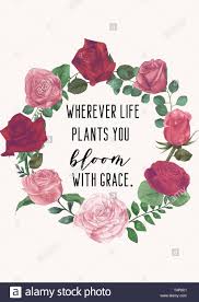 Most of the time quotes just reiterate facts that we already know to be true. Motivational Quotes Floral 91 Phone Wallpaper