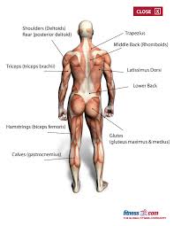 Последние твиты от gymjunkie muscle media (@gymjunkiemuscle). The Importance Of Flexibility Fitness Com