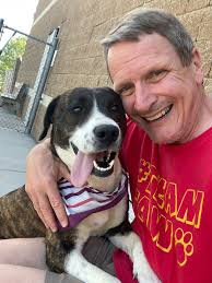 How do you contact TWRA regarding a hurt animal?