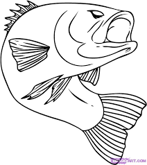 How To Draw A Bass Step By Step Fish Animals Free Online Drawing Tutorial Added By Dawn November 19 2009 3 Fish Coloring Page Fish Drawings Fish Sketch