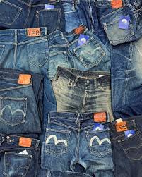 Image result for Sutera levis