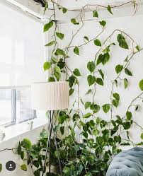 Pin Von Tatjana Egger Auf Minimalismus Decke Streichen Schlafzimmer Wohnideen