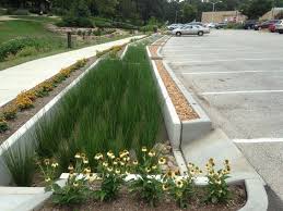 Raingarden Landscape Architecture Google Search Rain Garden Design Rain Garden Landscape Design