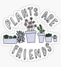 See more ideas about stickers, sticker design, tumblr stickers. Monstera Melt Sticker By Littleclyde Plants Are Friends Band Stickers Stickers