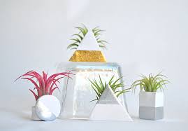 Michael mcdowell of mudpuppy designed these beautiful ceramic hanging air plant pods specifically for air plants (tillandsia) after discovering that tillandsias will not survive in standing water and if water pools in their leaves it can harm them. More Air Plant Display Ideas That Seamlessly Blend Function And Style