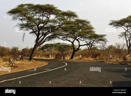 Image result for Burkea