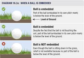 Rule 16 Relief From Abnormal Course Conditions Including Immovable Obstructions Dangerous Animal Condition Embedded Ball