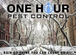 But what you'll end up paying for pest control might be lower or higher, depending on what type of pests you're trying to evict and how often you're. How Much Does It Cost To Hire A Pest Control Exterminator In Nyc