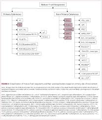 Demystifying The Diagnosis And Classification Of Lymphoma A