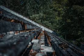 (sbn > michigan city off the 421) pic hide this posting restore restore this posting. A Complete Travel Guide On How To Visit Chernobyl Ukraine Here S How To Visit Chernobyl And Pripyat From Kyiv