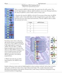 Unzipping of dna, formation of mrna, attaching of mrna to the ribosome access to all gizmo lesson materials, including answer keys. Solved Name Lab Instructor Exploration Rna Synthesis Chegg Com