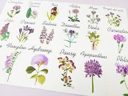 50 Best Table Name Ideas For Weddings Emmaline Bride In 2020 Wedding Table Flowers Card Table Wedding Wedding Table Names
