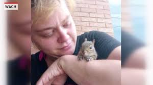 Homeless woman saves squirrel's life by sharing only food she had