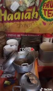 TikToker Mikaela Testa slammed for Indonesian meat market video