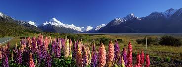 Kunjungan santhara ke new zealand sebelum ini dikritik pembangkang dan netizen kerana negara melarang rakyat malaysia melakukan perjalanan ke katanya yang baru pulang dari new zealand bulan lepas, perkara itu telah pun selesai dan beliau juga sudah mengeluarkan kenyataan sebelum ini. Jom Bercuti Ke New Zealand Home